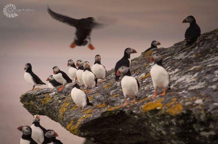 Skellig Port Accomodation - Sea View Rooms Ensuite Portmagee Bagian luar foto