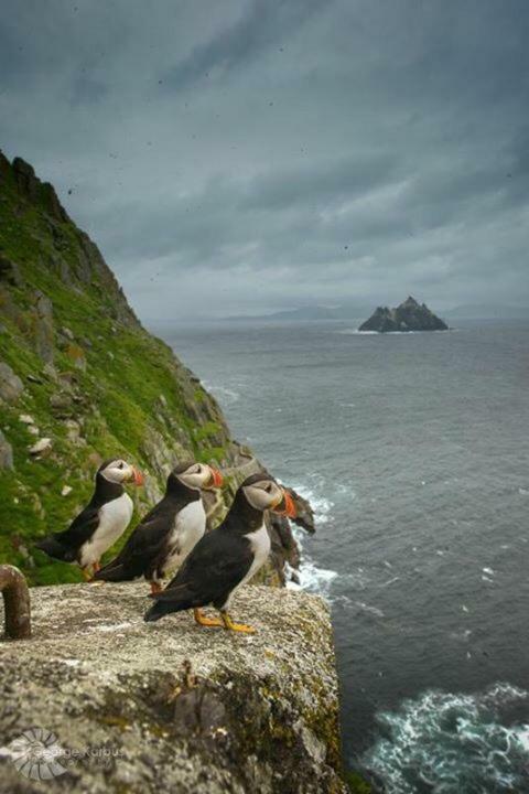 Skellig Port Accomodation - Sea View Rooms Ensuite Portmagee Bagian luar foto