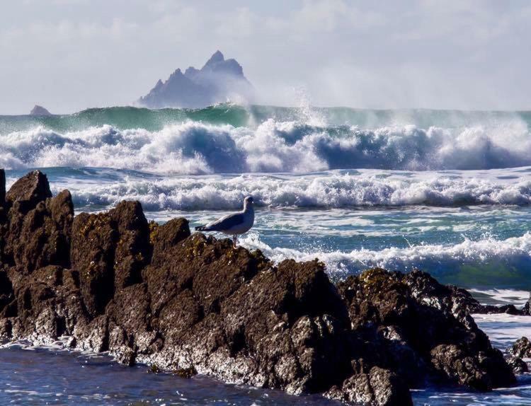 Skellig Port Accomodation - Sea View Rooms Ensuite Portmagee Bagian luar foto